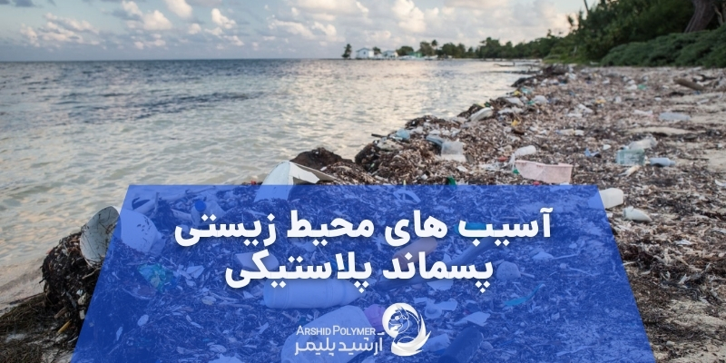 Environmental damage from plastic waste